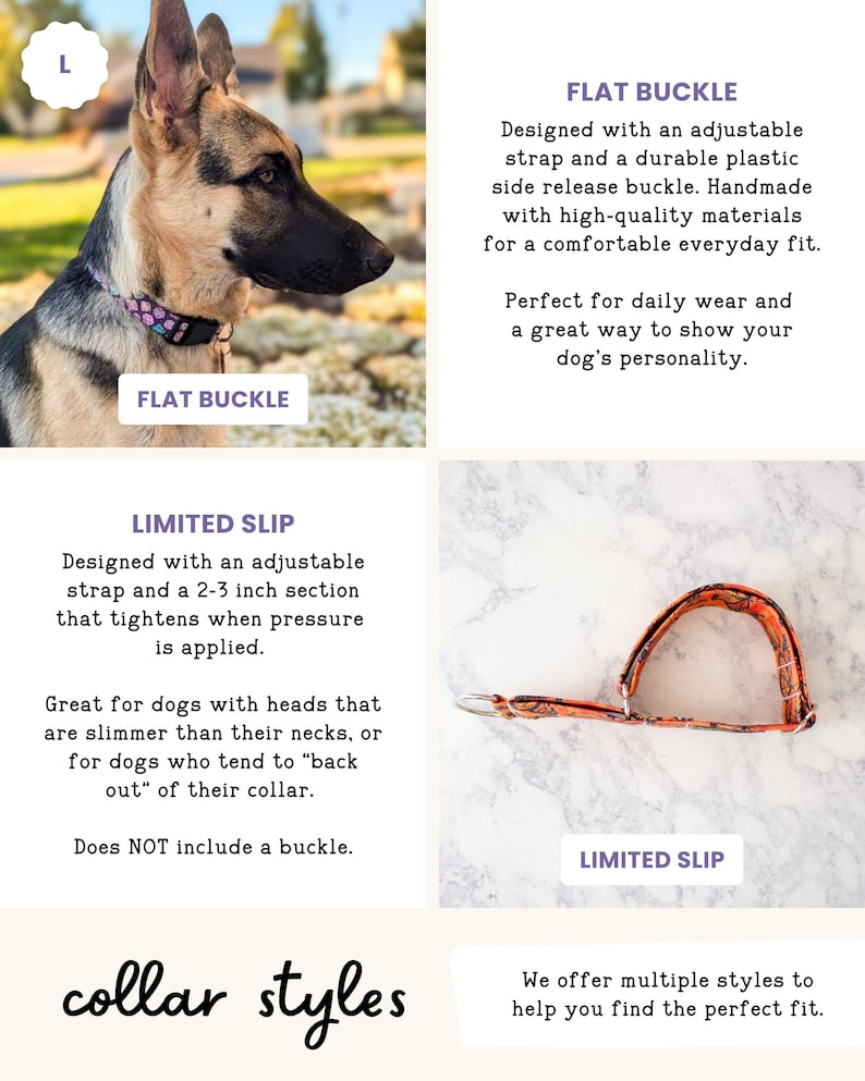 The image is a collage of two images, one showing a dog wearing a flat buckle collar and the other showing a limited slip collar style.