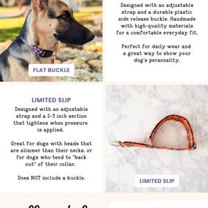 The image is a collage of two images, one showing a dog wearing a flat buckle collar and the other showing a limited slip collar style.