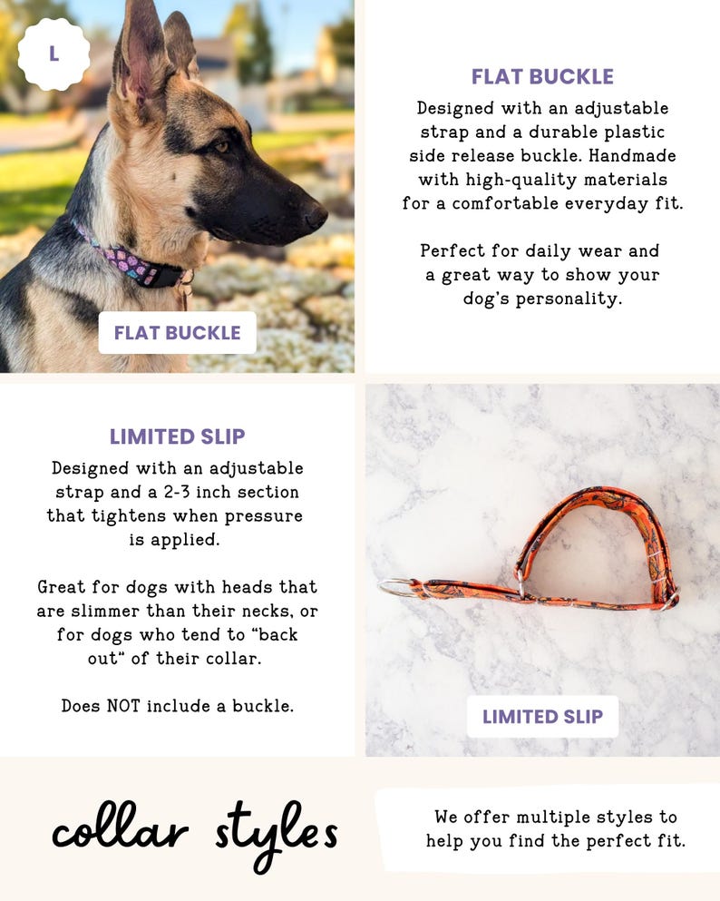The image is a collage of two images, one showing a dog wearing a flat buckle collar and the other showing a limited slip collar style.