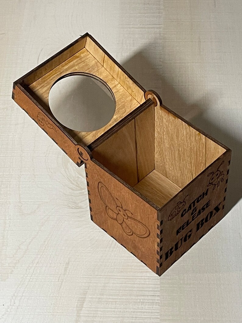 Catch & Release Bug Box SVG - Etsy