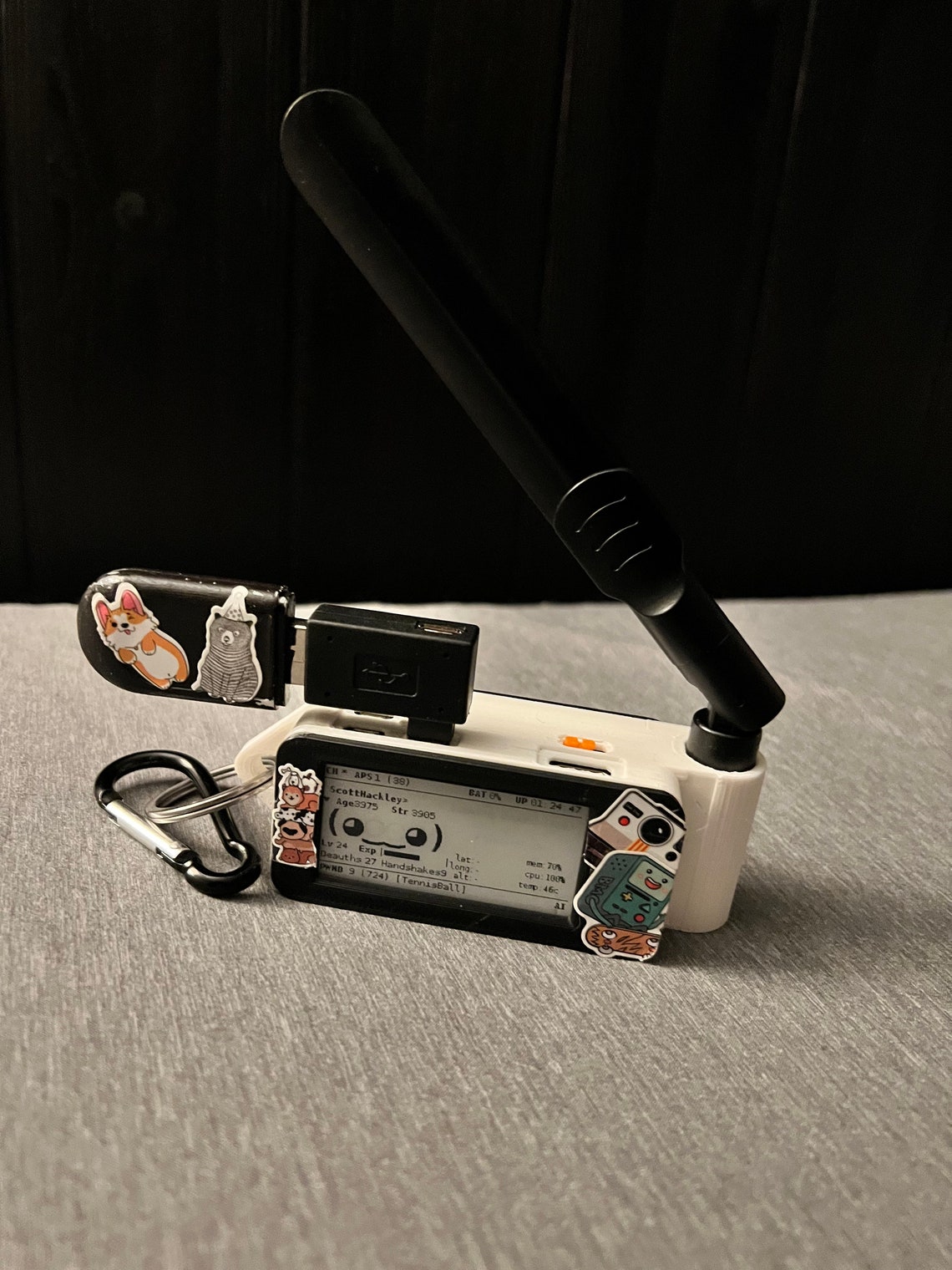 Pwnagotchi Ultimate plugnplay Etsy Singapore