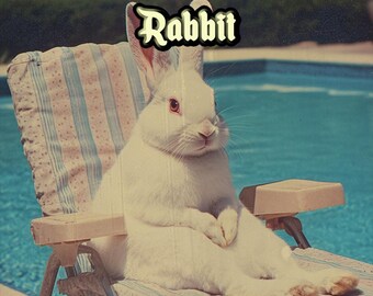 Rabbit MTG Tokens x3