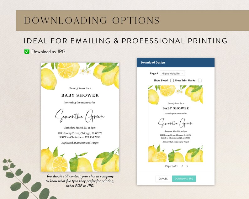 May include: A baby shower invitation featuring a lemon design. The invitation includes the text "Baby Shower" and event details. The design also includes the text "Downloading Options" and "Ideal for Emailing & Professional Printing". The invitation is available as a JPG.