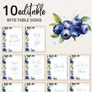 May include: Ten printable 8x10 inch table signs with a blueberry theme. The signs feature text such as "Babies are sweet", "Books & Gifts", "Diaper Raffle", "Don't Say Baby", "Drinks", "Mom-to-be Address", "Late Night", and "Money".