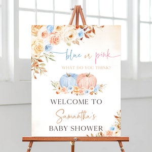 Editable Gender Reveal Pumpkin Baby Shower Welcome Sign, Blue or Pink Pumpkin Baby Shower Poster, Gender Reveal Pumpkin Decoration, BBS445