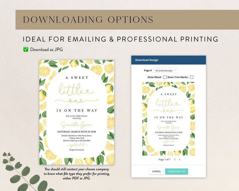 May include: A baby shower invitation with a lemon theme. The invitation features a watercolour illustration of lemons and leaves. The text on the invitation reads "A Sweet Little One Is On The Way".