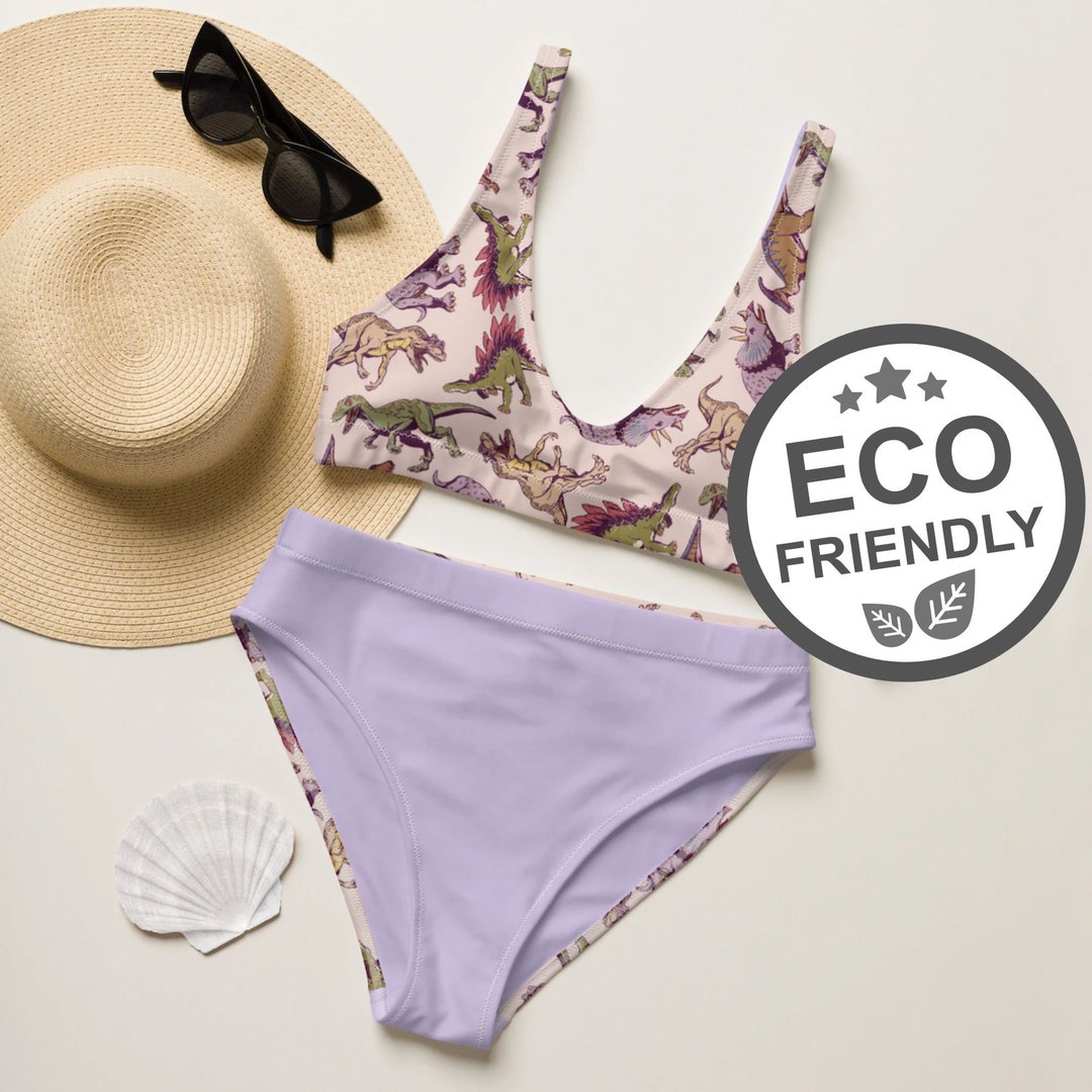 Pink Dinosaurs Bikini, DESIGNER Swimsuit, Recycled Highwaisted Bikini