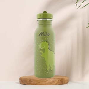 Personalized children&#39;s water bottle. 350ml and 500ml - Dinosaur model - Kindergarten water bottle, children&#39;s straw water bottle.