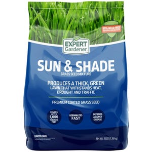 3LB Seeds | Kentucky Bluegrass Seed Mix, Northern Lawn Grass Seeds, Hardy Perennial Turf, Drought Tolerant Grass Seeds for Green Lawns S407