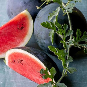 25+ Seeds | Sugar Baby Watermelon Seeds, Small Sweet Heirloom Melons for Home Garden, Compact Vine Fruit for Summer Harvest