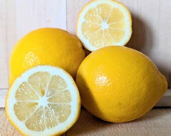 5 Sweet Lemon Fruit Seeds: Citrus Ujukitsu, USDA Zone 8b - Etsy
