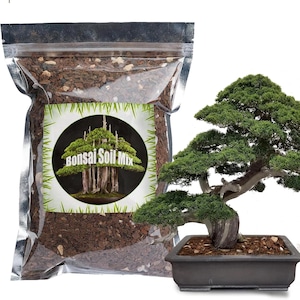 Bonsai Soil Mix 1QT, Ready to Use Fast Draining Potting Blend for Bonsai Trees, Promotes Root Health & Moisture Balance