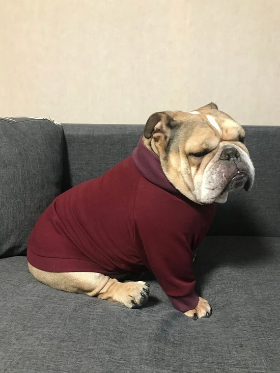 Are Dogs Warm Blooded