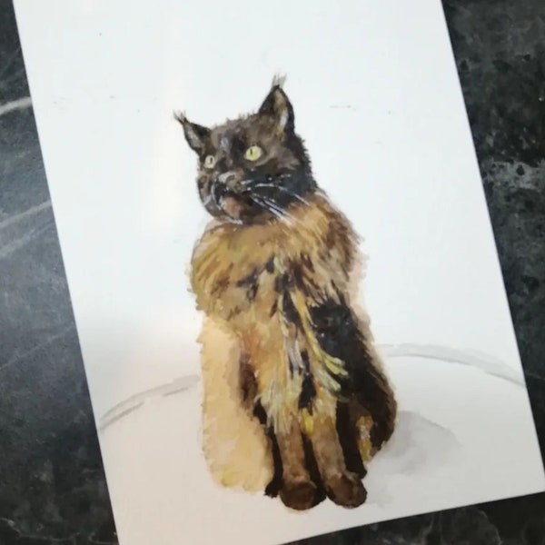 Handgemaltes Katzenportrait / Katzen Ganzkörperbild in Aquarell, nach Fotovorlage Katze malen lassen