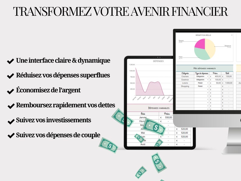 DIGITAL BUDGET PLANNER Personal & Couple Finances Automated tracking of Spending, Savings, Investments, Debts image 9