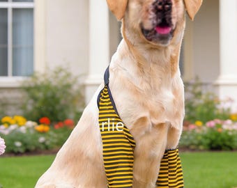 Ellbogenschutz für Hunde, Gelenkschutzhülle für Hunde mit dem Namen Ihres Hundes, personalisierte Knieschützer für Hunde, Anti-Verschleiß- und Anti-Dirty-Bein-Abdeckung
