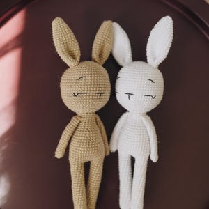 Amigurumi konijn, knuffeldier voor baby, gehaakte pluchen konijntjes, knuffelkonijn, knuffeldier, geborduurd konijn, amigurumi konijn met naam