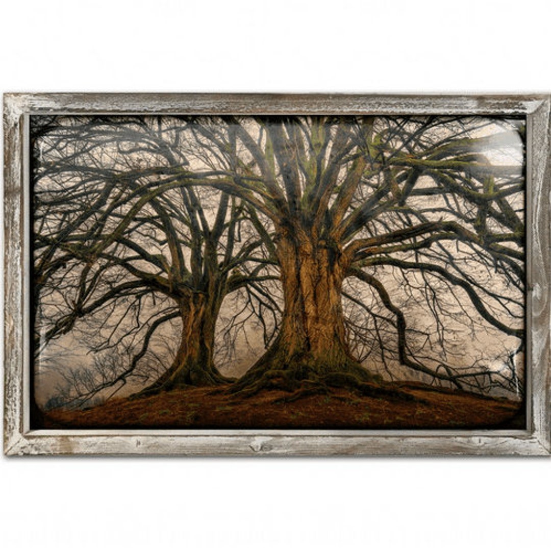 Copper Tree 48cm X 48cm Wood Framed Metal Art Etsy