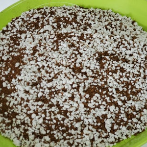 Coconut Coir - Coco Peat & Perlite 50/50 Organic Growing Media  - FREE SHIPPING