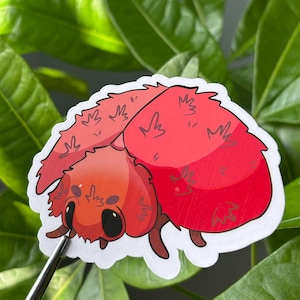 Cute Red Fuzzy Ladybug Sticker – Kawaii Bug Aesthetic Vinyl Decal for Water Bottles, Laptops & Scrapbooking