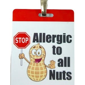 Allergic to nuts Bag Tag / Keyring / Lanyard