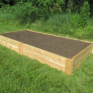 May include: A raised garden bed made of untreated cedar wood. The bed is filled with dark brown soil and is sitting on a green lawn.