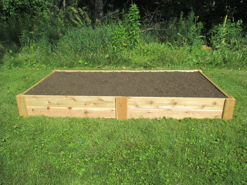 Cedar Raised Garden Bed 4' X 8' X 11h Etsy