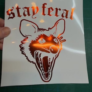 May include: A metallic orange vinyl decal on a white backing sheet featuring a graphic illustration of a snarling opossum head with its mouth wide open. Above the animal, the text "stay feral" is printed in a stylized, gothic-inspired font.