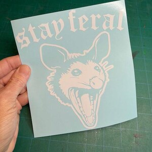 May include: A light blue square decal featuring a white line art illustration of an opossum with its mouth open in a hiss. Above the opossum, the text "stay feral" is printed in a white gothic-style font. The decal has a smooth finish.