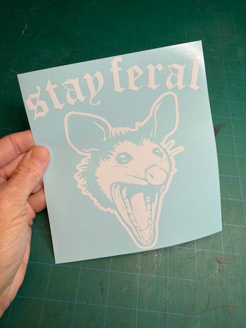 May include: A light blue square decal featuring a white line art illustration of an opossum with its mouth open in a hiss. Above the opossum, the text "stay feral" is printed in a white gothic-style font. The decal has a smooth finish.