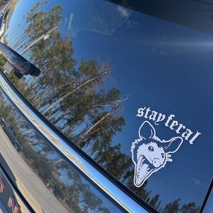 Stay Feral Screaming Opossum Decal - Vinyl Car Truck Laptop Decals Motorcycle Tumbler Window