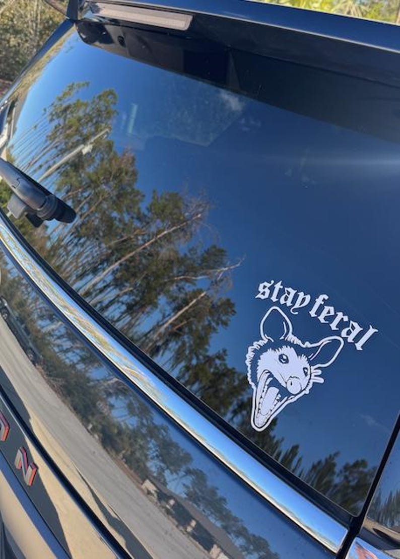 Stay Feral Screaming Opossum Decal - Vinyl Car Truck Laptop Decals Motorcycle Tumbler Window