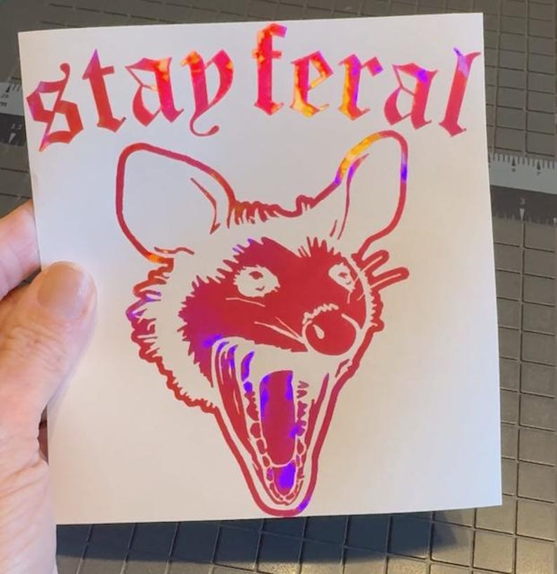 Stay Feral Screaming Opossum Decal - Vinyl Car Truck Laptop Decals Motorcycle Tumbler Window