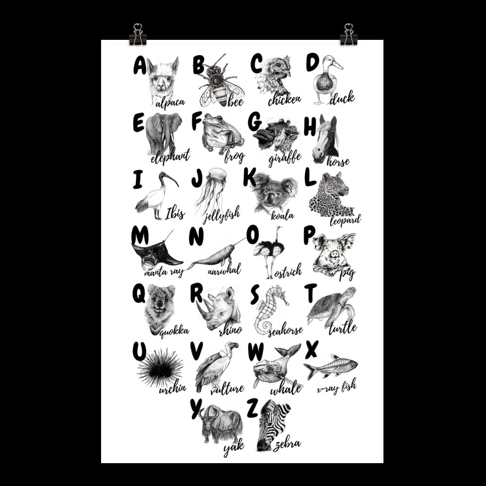 Animal Alphabet Poster Etsy