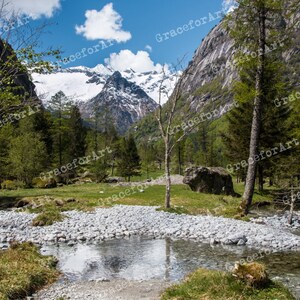 Può includere: Una vista panoramica di una valle di montagna con un piccolo ruscello che scorre attraverso di essa. Il ruscello è circondato da rocce ed erba verde. Le montagne sullo sfondo sono coperte di neve e alberi.