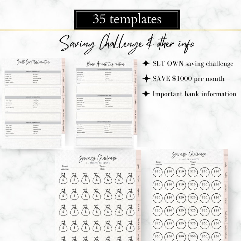 EDITABLE PLR Budget Planner, Resell Canva Planner Template, PLR ...