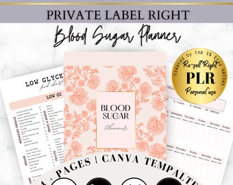 PLR Blood Sugar planner, diabetes planner template resell right, MRR Glycemic index foods, resell wellness planner, Glucose Log PDF resell