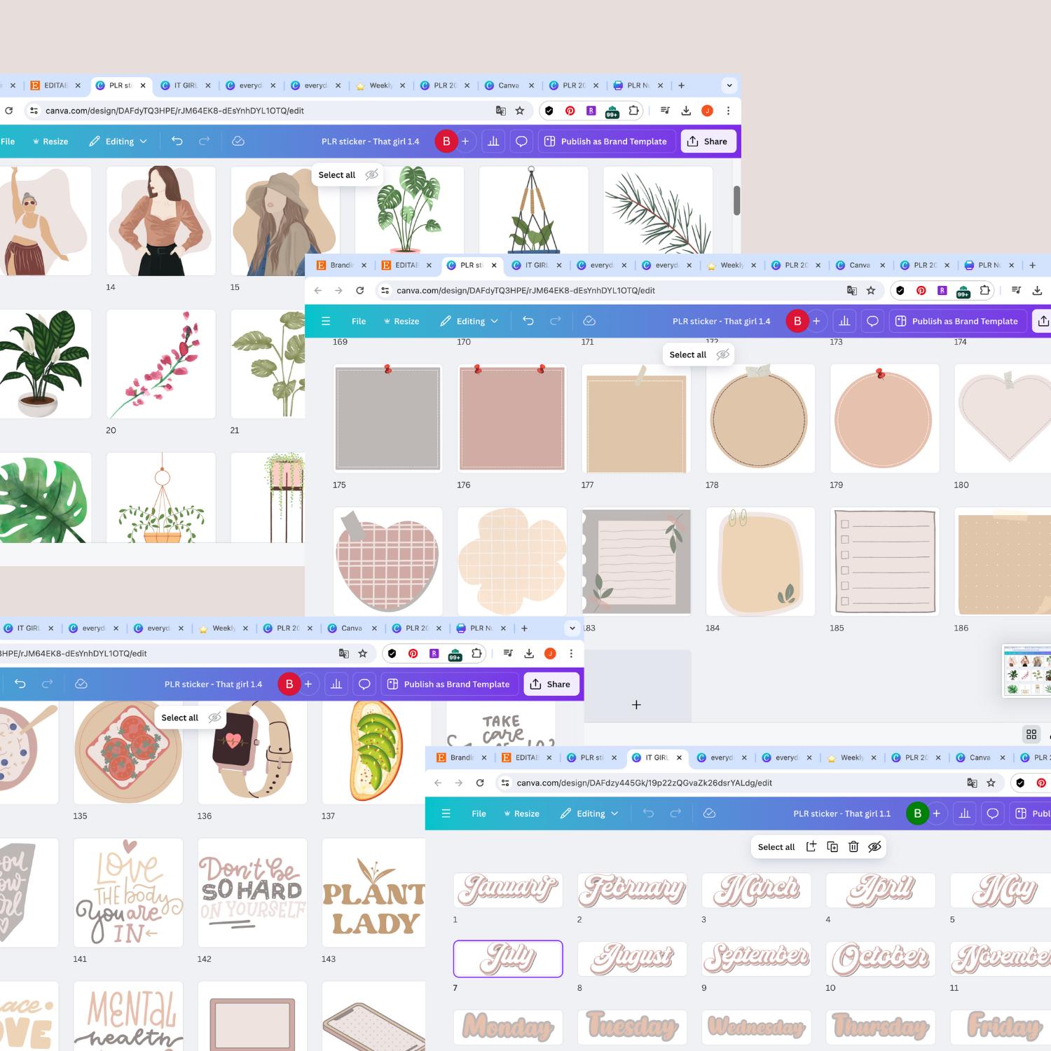 PLR Digital Stickers Commercial Use Canva Editable MRR PNG Sticker for ...