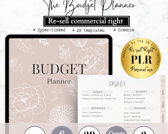 EDITABLE PLR budget planner, Resell Canva Planner Template, PLR Commercial Use, resell financial planner, hyperlinked digital planner