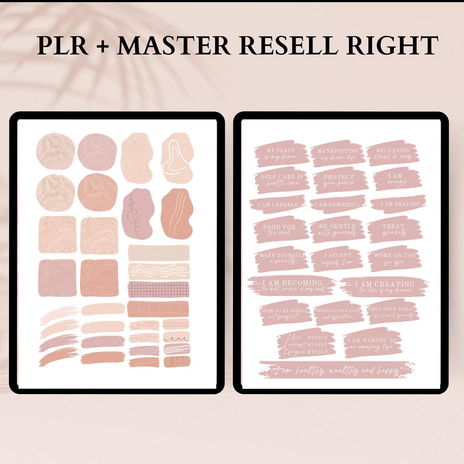 PLR Digital Stickers Commercial Use Canva Editable MRR PNG Sticker for ...