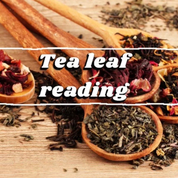 Tea Leaf Reading Cup Etsy