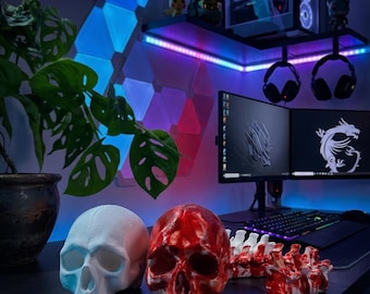 Predator Skull Trophy with Bloody Spine Set - 34cm Alien Hunter Replica - Hand-Painted Gore Art Decor for Horror Gaming Room