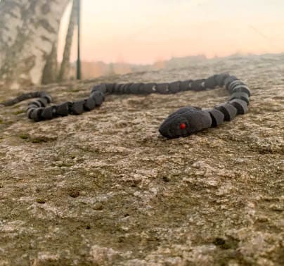 Snake Prank - Etsy Snake Prank - Etsy