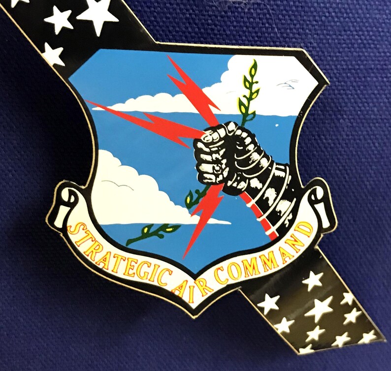 RARE! SAC Helmet Sticker / Decal - Etsy