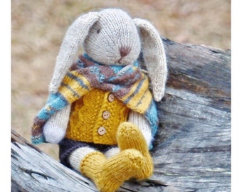 Toy knitting pattern for a bunny rabbit with a vest and shorts.