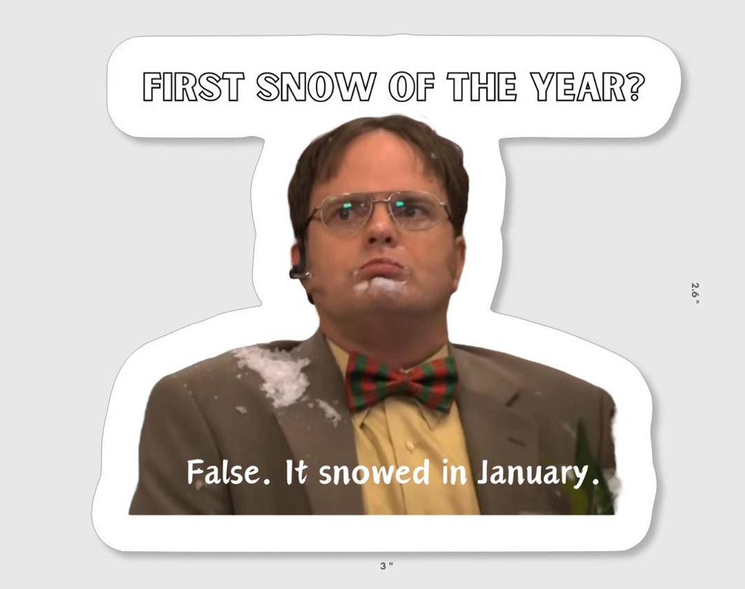 Dwight Schrute “False” Vinyl Sticker - Official The Office