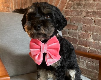 Dog Bow Tie