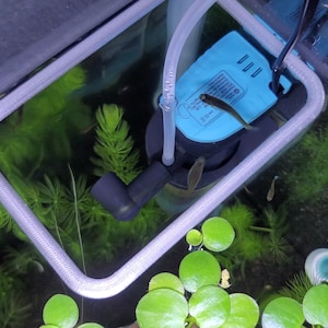 Squared Aquarium Feeding Ring Translucent