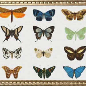 PDF Counted Vintage Cross Stitch Pattern | Butterflies | 3 Sizes | Highly Detailed Cross Stitch Pattern