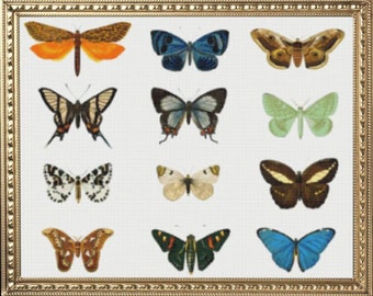 PDF Counted Vintage Cross Stitch Pattern | Butterflies | 3 Sizes | Highly Detailed Cross Stitch Pattern